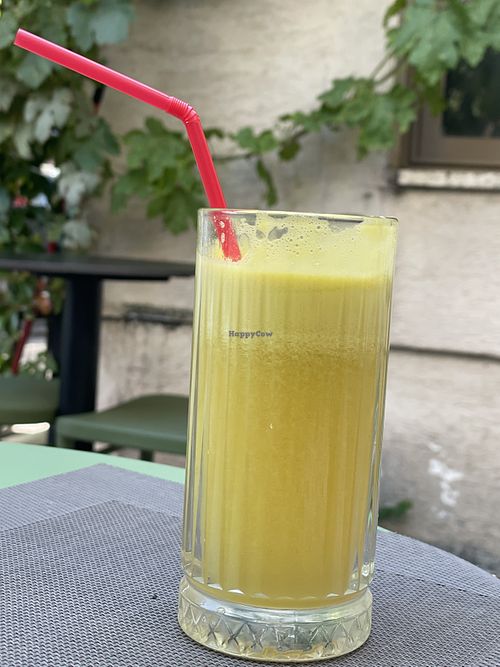   at Gjelber in Tirana