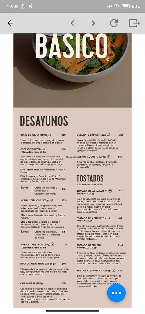 Carta 1 at Falafel Confetti in Mexico City