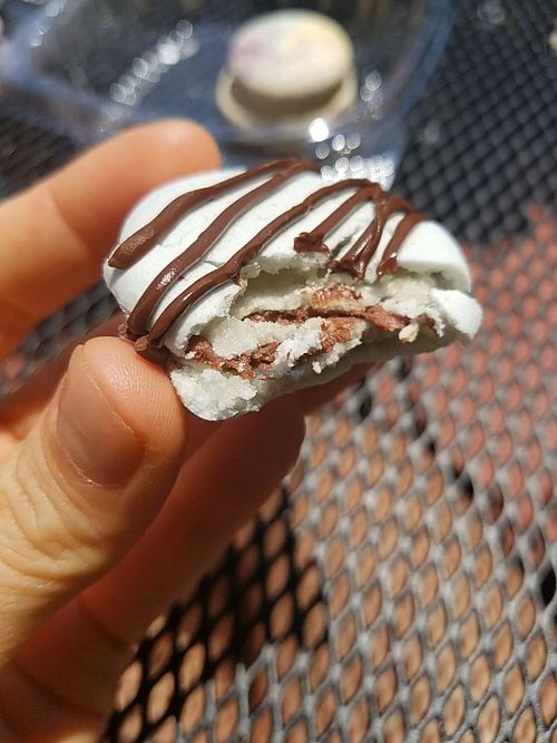 Chocolate macaron at A La Mode Macaron in Asheville