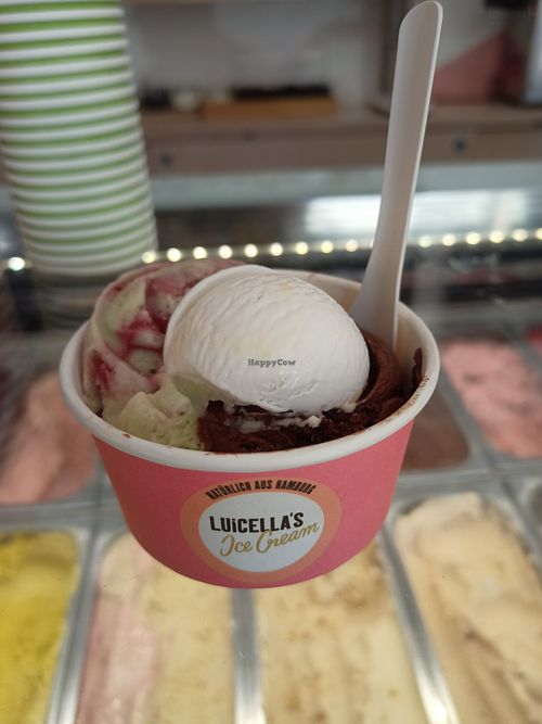 Avocado, coconut, brownie Choco at Luicella's Ice Cream - Grindelhof in Hamburg