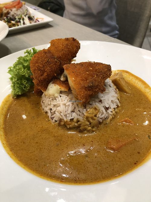 Nanyang curry lionmane cutlet rice  at Flavours by Saute 寻味•素特 in Central Singapore