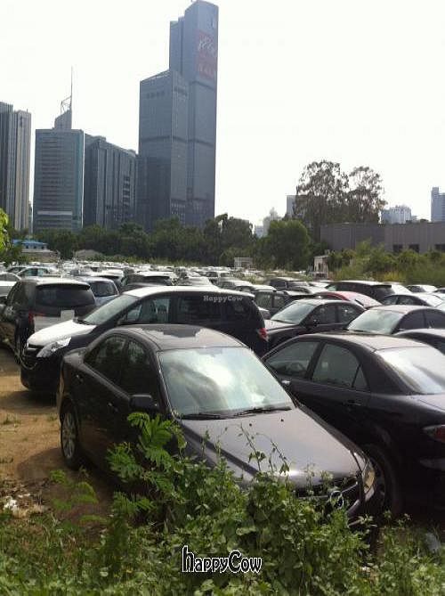 It sits inside this park with various automobile dealerships and restaurants at Yunlaiju - Windlucky - Futain District in Shenzhen