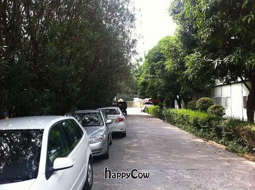 some more alleyways at Yunlaiju - Windlucky - Futain District in Shenzhen