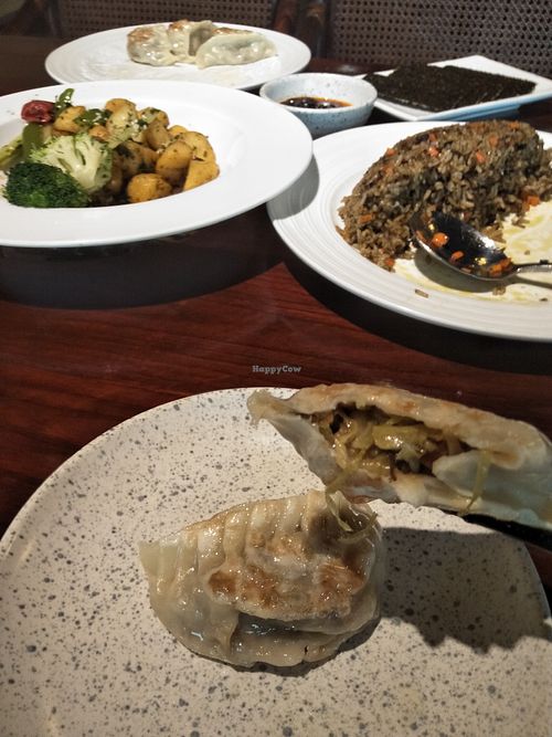 Fried dumpling at Yunlaiju - Windlucky - Luohu District in Shenzhen