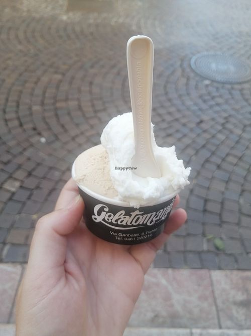 Coppetta 3 euro e 50 at Gelatomania in Trento