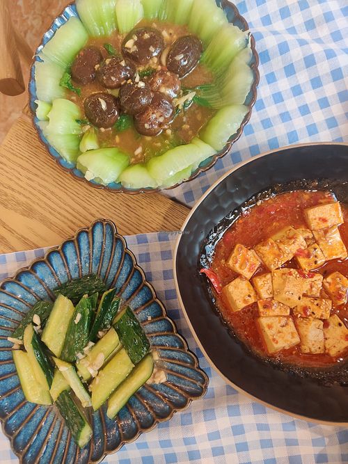 Braised mushrooms, cucumber salad, mala tofu at Bilig Vegan Bistro in Ulaanbaatar