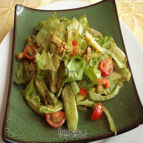 Chef's Salad at Bilig Vegan Bistro in Ulaanbaatar