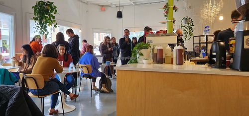 Inside at Project Coffee - Burns Court in Sarasota