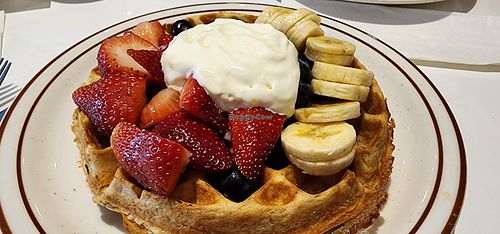 Waffle at Project Coffee - Burns Court in Sarasota