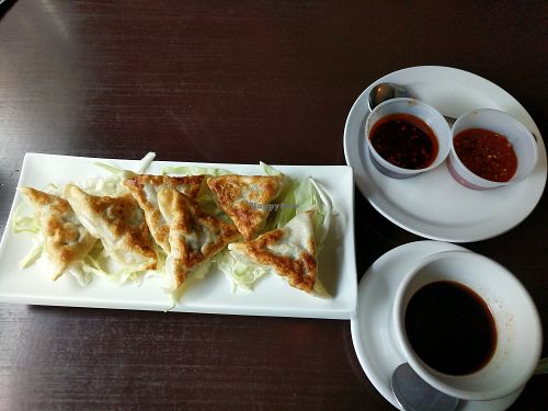 Veggie (vegan) Potstickers at Marco Polo Global Restaurant in Salem