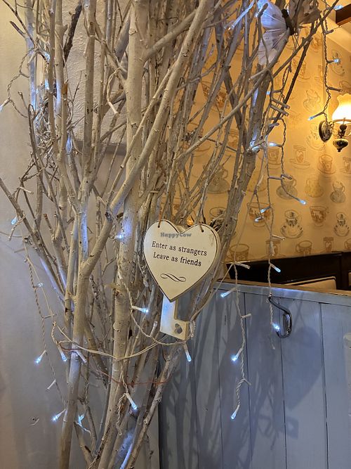   at The Blueberry Tearooms in Donegal