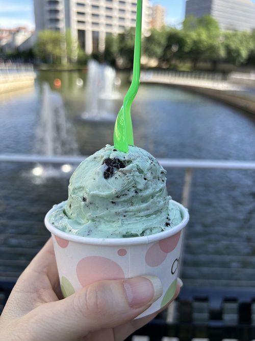 Mint with oat base and Oreos   at Creamistry in Irving