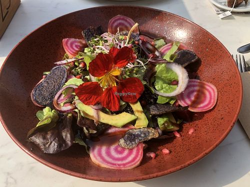 Purple Rain salad at Van Doorn en Doorn in Enschede