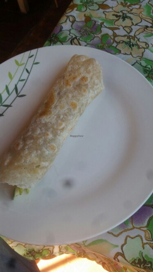 Vegetable Burrito at Ima's Vegetarian Restaurant in Puerto Princesa