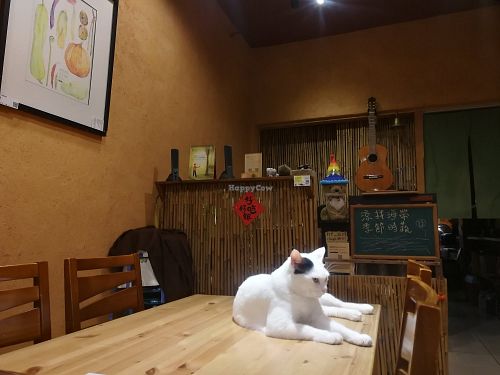 interior at Feeling Kitchen in Hualien