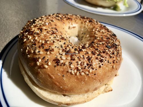 Everything bagel with vegan cream cheese at Shmagels Bagels in Ocean City