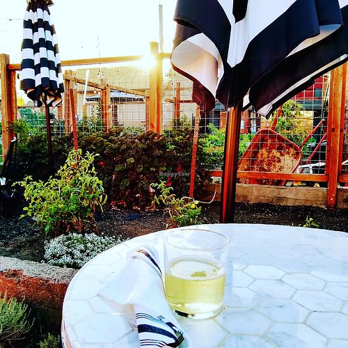 Garden dining at Boon Eat + Drink in Guerneville