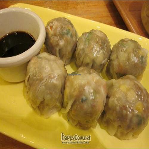 Vegetarian Dim Sims at Ten Ren's Tea in Sydney