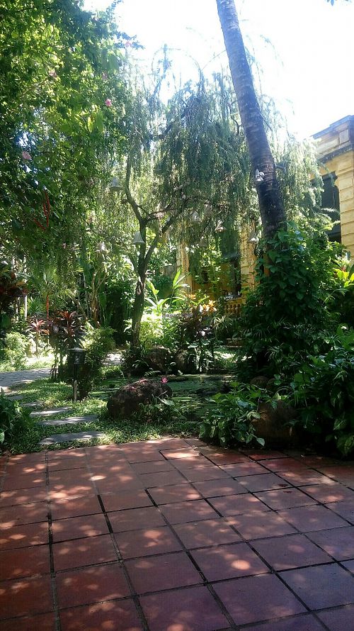 Garden view at Brother's Cafe in Hoi An