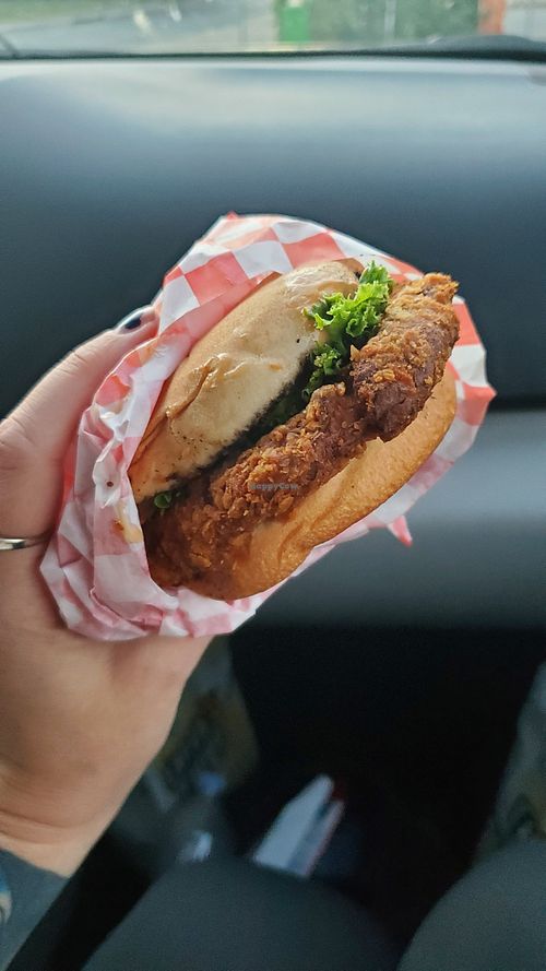 Spicy chik'n burger at Earth Burger - Nacogdoches Rd in San Antonio