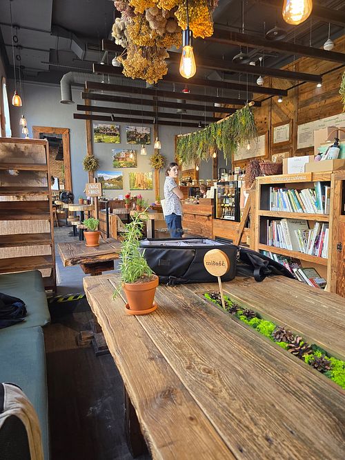 Inside at Pijalnia Ziół in Warsaw