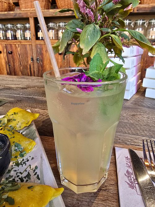 Elderflower Lemonade at Pijalnia Ziół in Warsaw