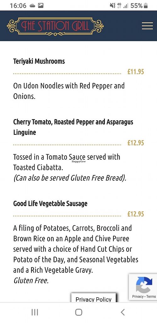 More mains at The Station Grill in Llansantffraid