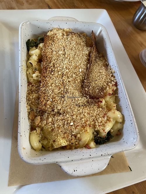 mac n cheeze   at The Eating Gorilla in Penrhyndeudraeth