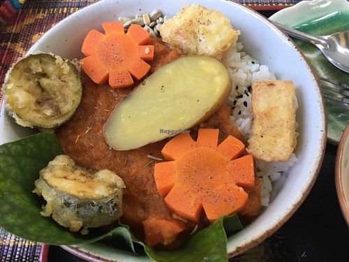 Assembled curry bowl with potato, carrot, fried eggplant, and fried tofu at Samata in Chiang Mai