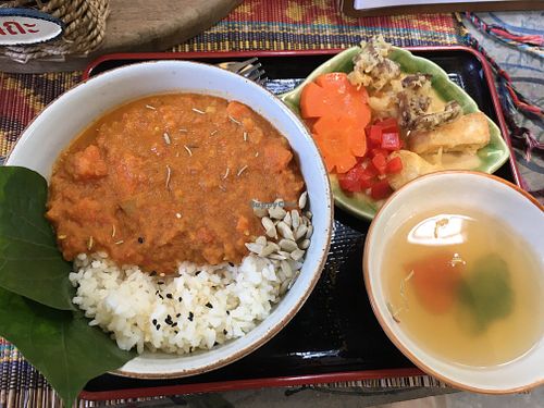 Curry bowl with carrot, bell pepper, fried tofu and fried mushroom - DIY assembly at Samata in Chiang Mai