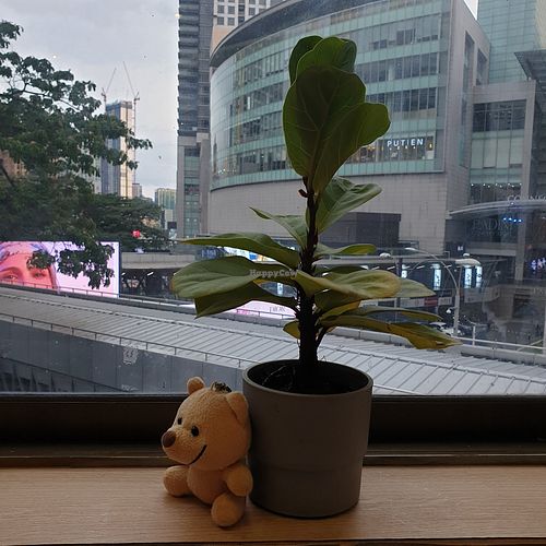  at Minf Houze Vegan Cafe in Kuala Lumpur