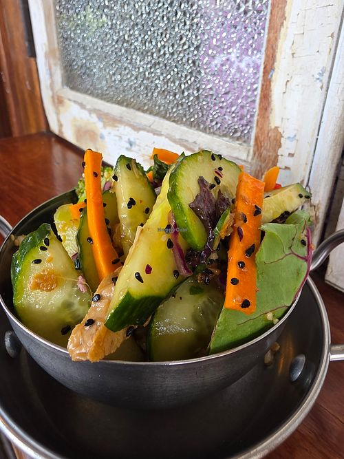 Salads at The Cardamom Pod in Mullumbimby