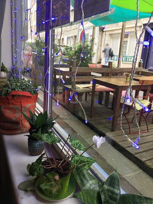 View from indoors at La Cigale Voyageuse in Granville