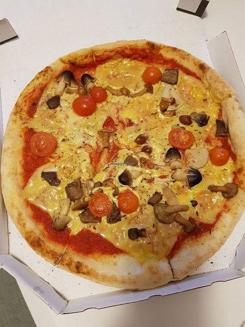 "cheese" tastes like melted plastic :( at Pizza Marija in Ljubljana