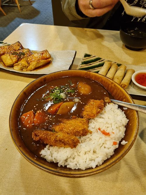 Vegan meat katsu curry, spring rolls, tofu pirikara at The Jitsu in Dunedin