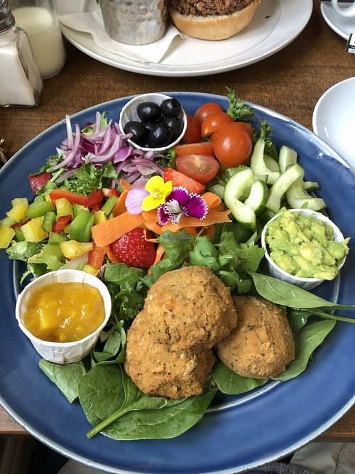 Vegan falafel salad at Beachcove Café in Waterville