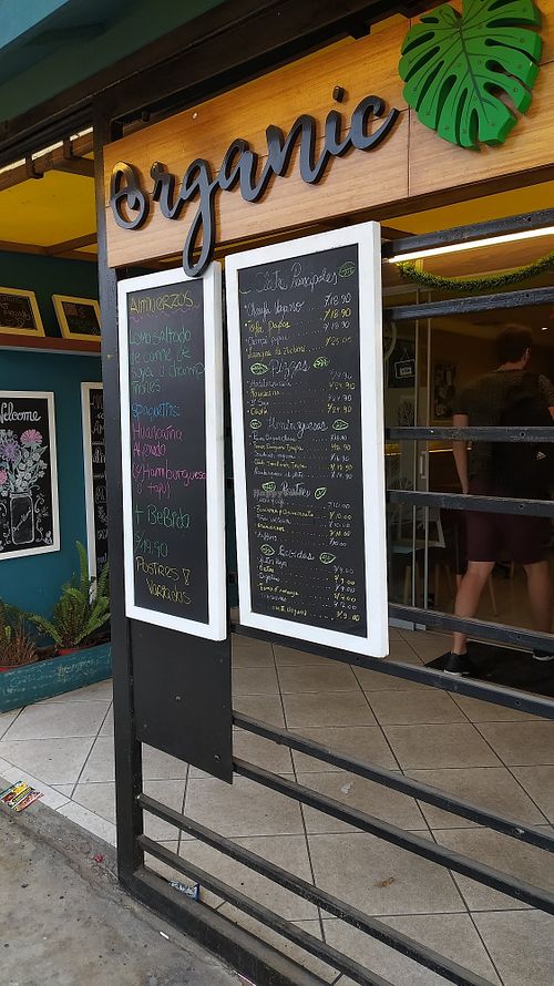 Ingreso at Organic Land in Lima