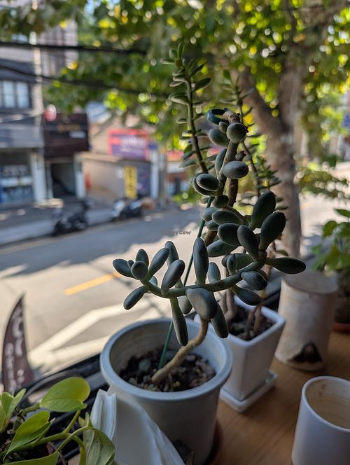 Great view at Plant Cafe & Kitchen - Itaewon in Seoul