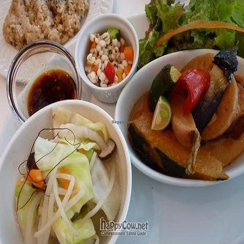 B Lunch: Gyoza, grilled tofu with vegetables, salad and brown rice. at Hanada Rosso in Tokyo