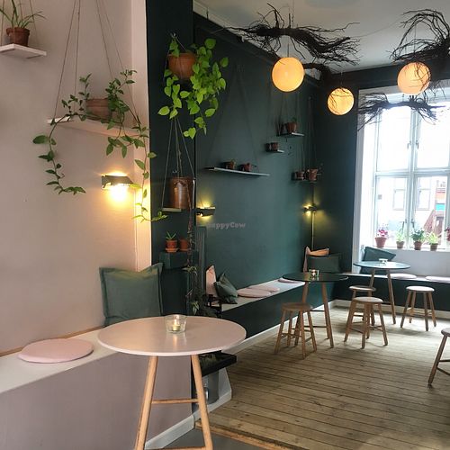 Super beautiful interior in a nordic welcoming and minimalistic style. Lots of plants everywhere and an art-peace of roots in the ceiling. Should diffidently be experienced. at Rooty in Copenhagen