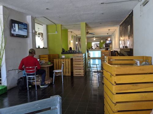 Interior at Clorofila in Queretaro