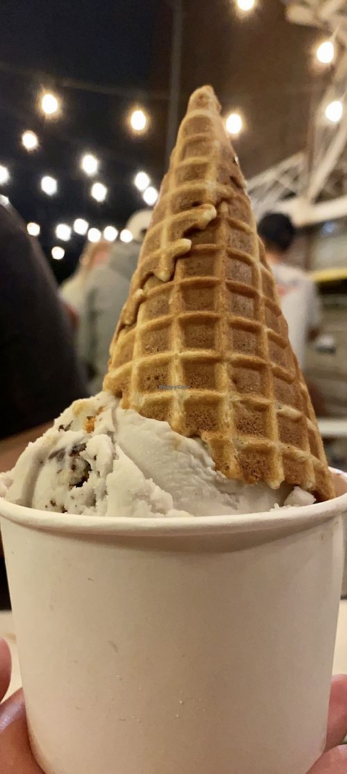 Melt Ice Creams Fort Worth Texas Ice Cream HappyCow