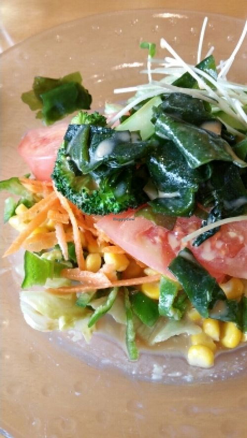 my salad at Greens Vegetarian Dishes in Osaka