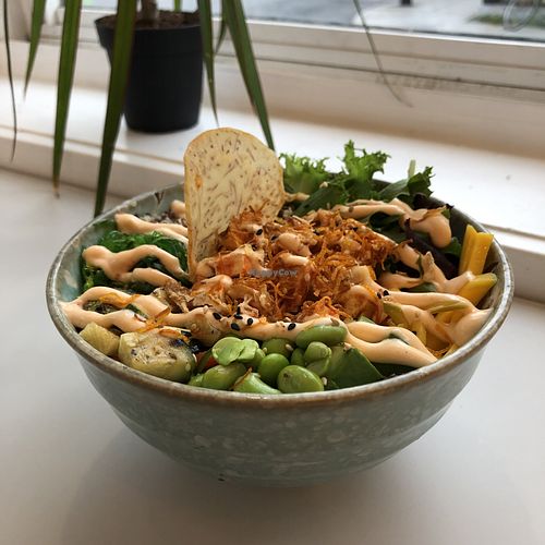 Poké épicé at Ohana Sushi Vegan in Montreal