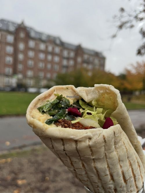 Looks could be worse but completely cold  at Falafelkælderen in Copenhagen