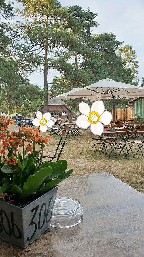The garden at Der Schafstall in Handeloh
