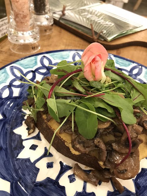 Mushroom toast at Casa Graviola in Brasilia
