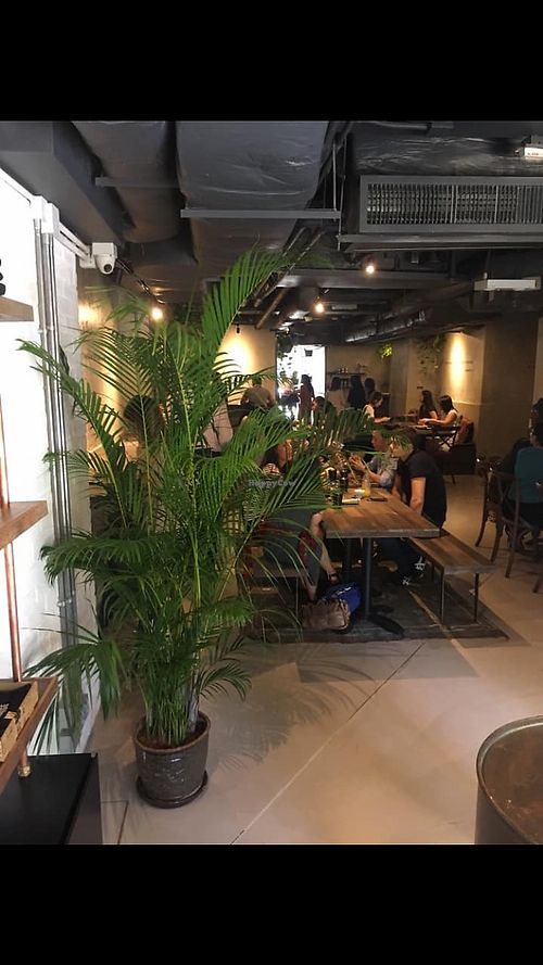 Interior at Mana! - Wan Chai in Hong Kong Island