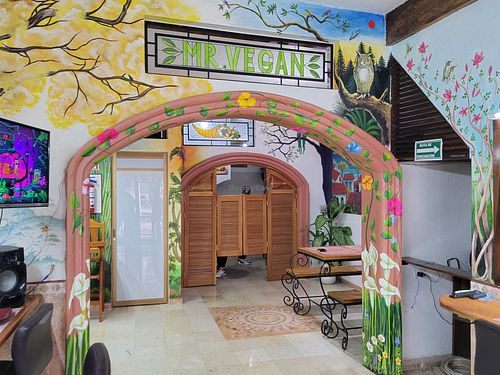 Inside at Mr. Vegan in Puerto Vallarta