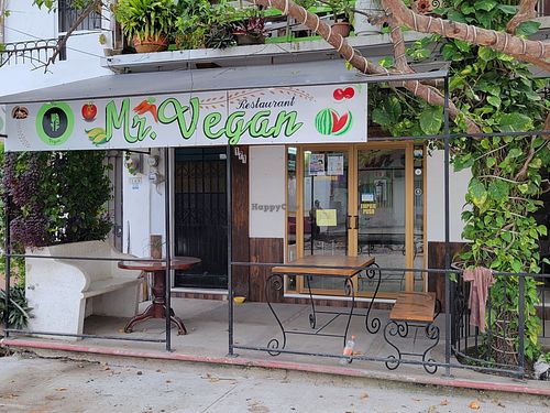 Outside at Mr. Vegan in Puerto Vallarta